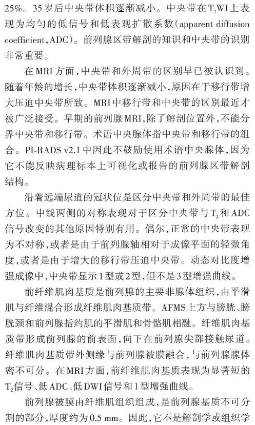 鍓嶅垪鑵簃ri褰卞儚瑙e墫,鍓嶅垪鑵簃ri瑙e墫