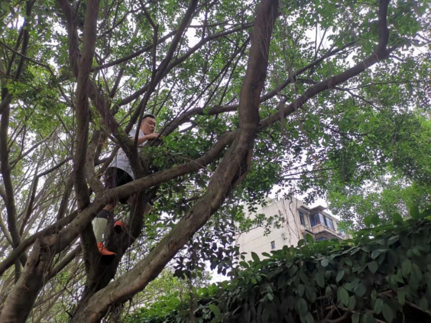 每一个努力打球的人都值得被尊重,每一个认真踢球的人都值得尊敬