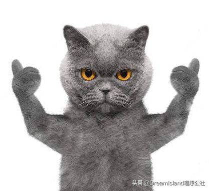 beauty公信榜面膜第一名,平价最好用去角质深层清洁面膜