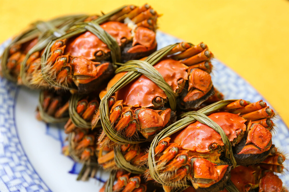 活蟹和死蟹放一起还能吃吗,秋季螃蟹死了多久可以食用