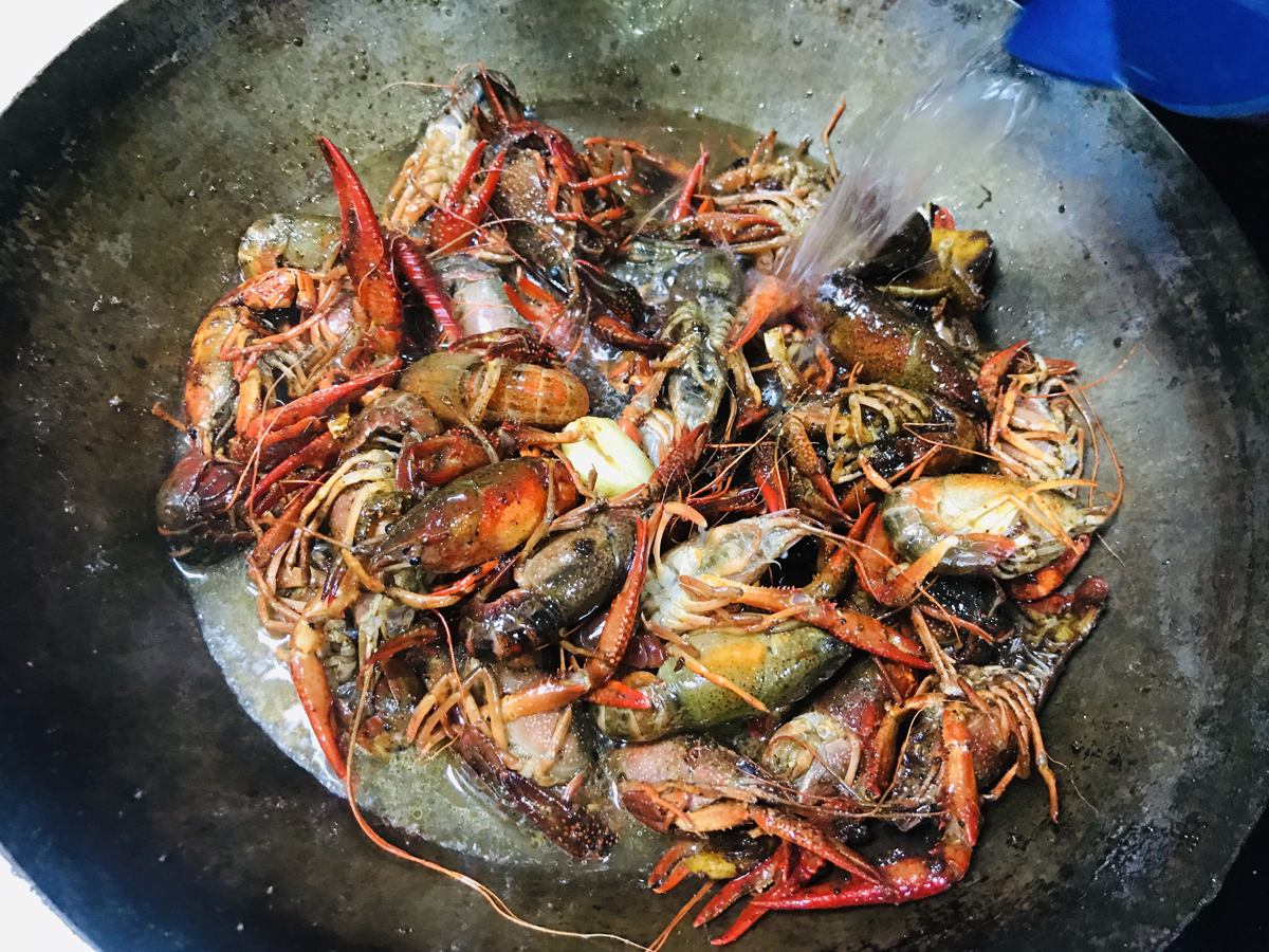 买小龙虾青的好还是红的好,买小龙虾划算还是海虾划算