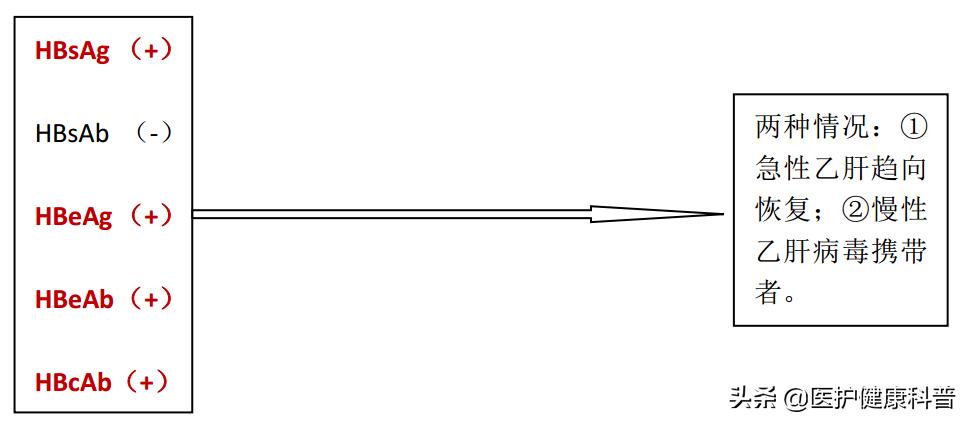 我有乙肝,想谈恋爱、结婚、生小孩……不可以吗?