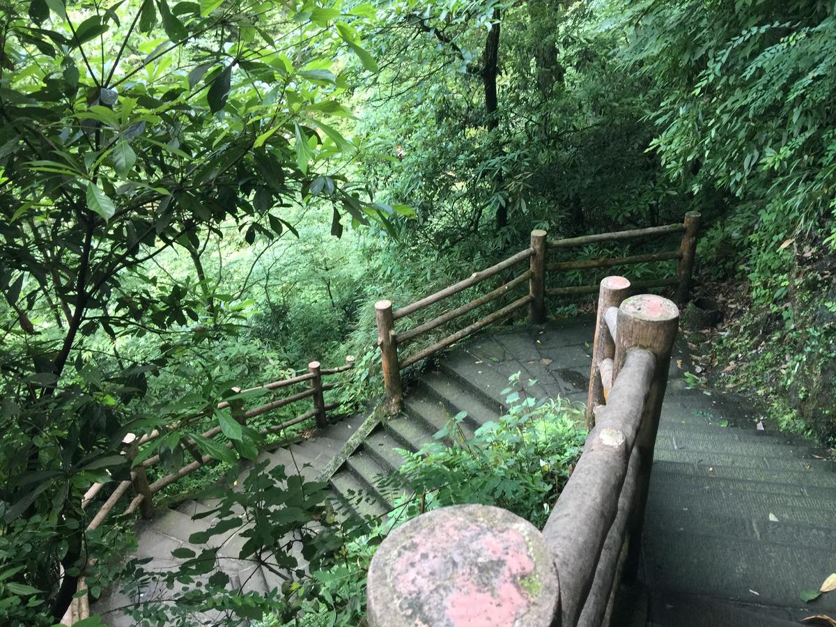 峨眉山登顶佛像,峨眉山登顶记完整版