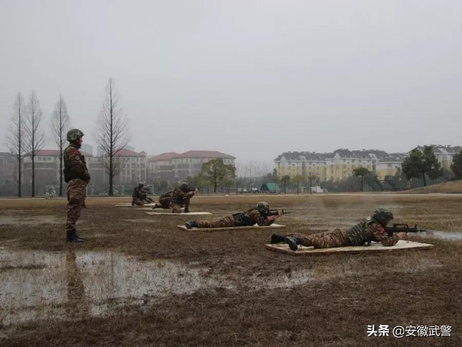 纪实视频,记实记录