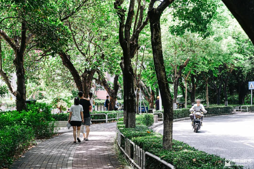 华侨城一期西区,华侨城发展历程