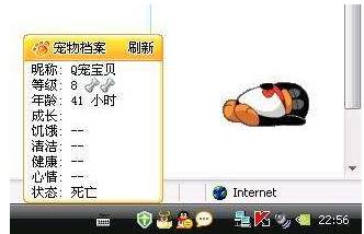 你的宠物死了有多难过,你的宠物还活着吗