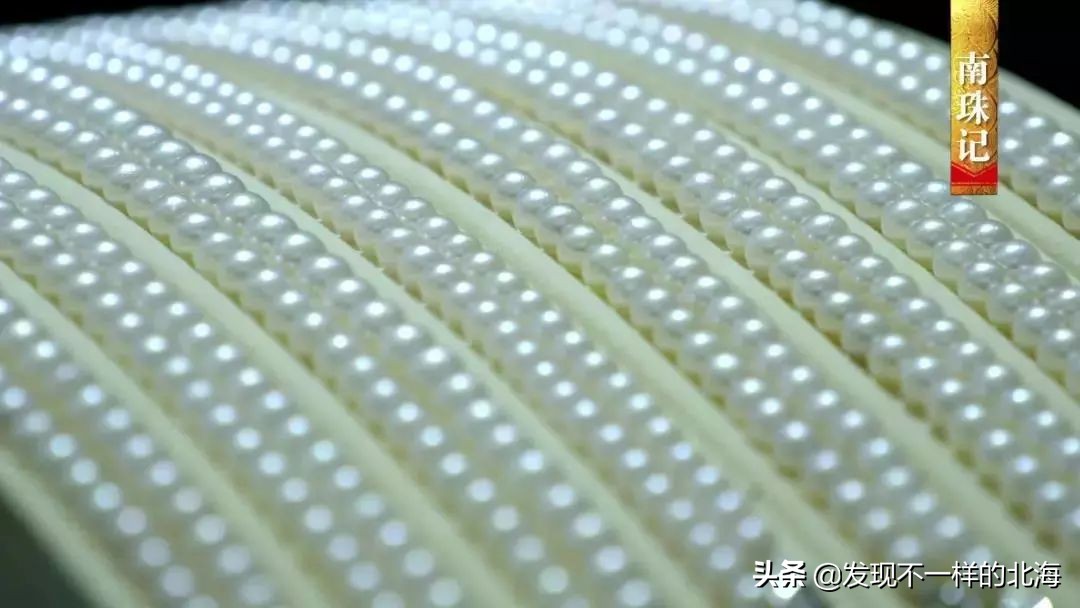 广西合浦是怎么样的?央视是这样全方位介绍这美丽的珠乡的