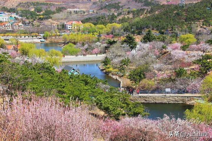 柳花泊――柳南山村
