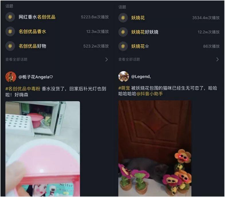 致“你们”情有独钟的猫抓杯！
