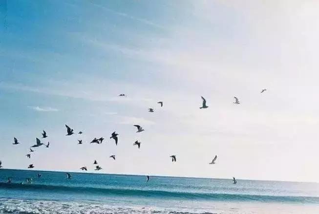 想多了头疼想通了心疼下一句,想多了头疼想通了心痛