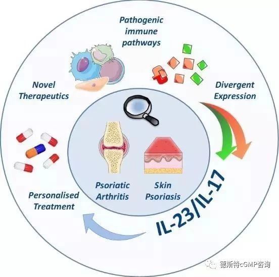 这条明星信号通路已催生多款重磅新药治疗多种炎症性疾病