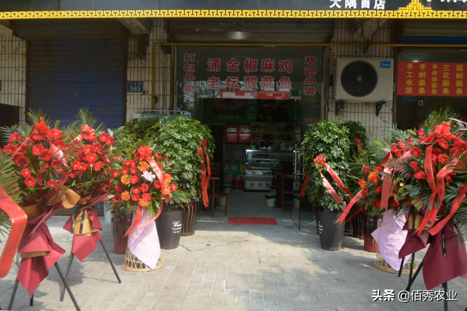 放弃年薪50万高薪去创业,农村小伙子放弃打拼