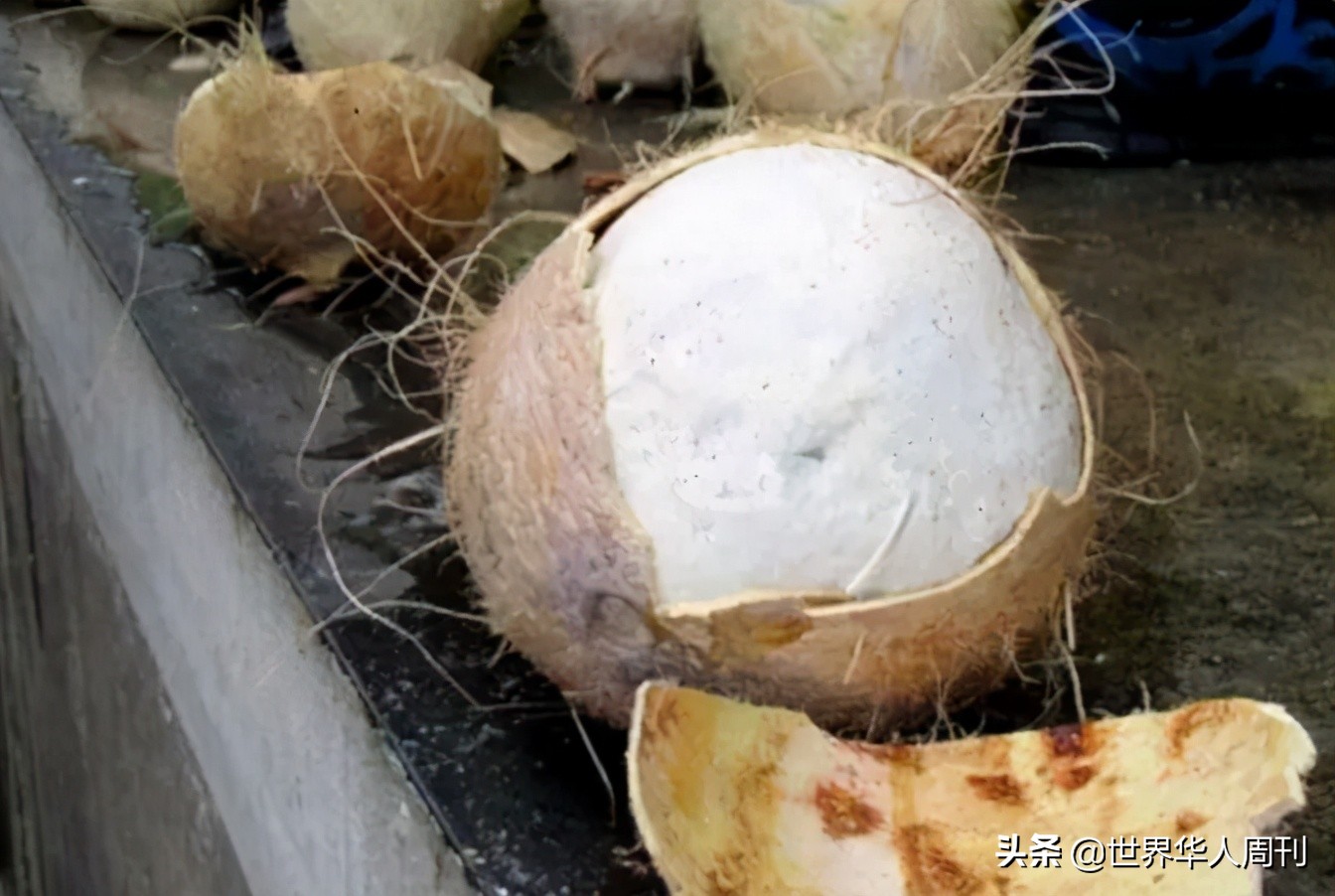 家庭妇女贩毒,女子为爱沦为毒贩