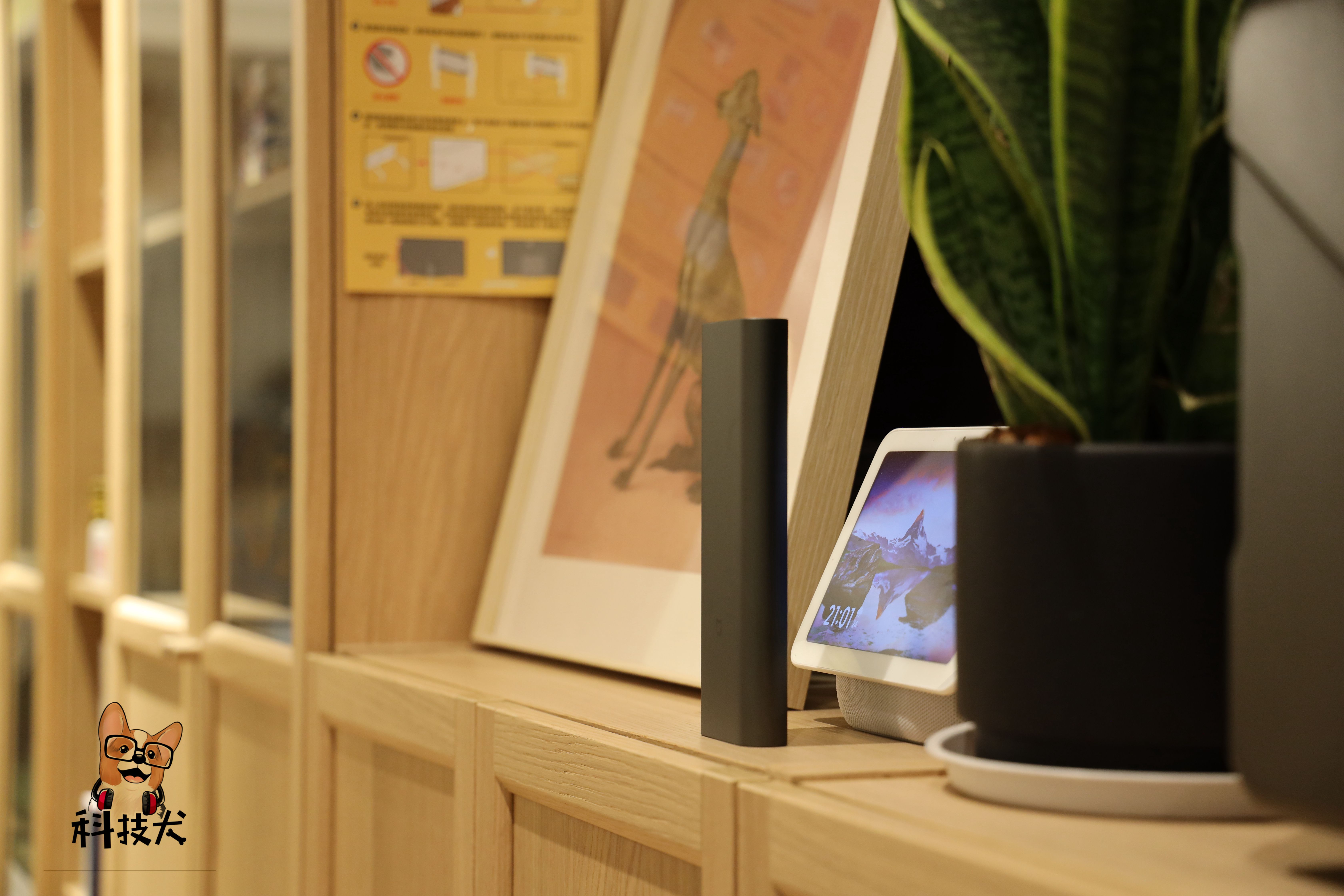 科技犬最好的品种,小米科技狗