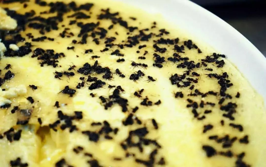 上了大学就自由了？这才是真实的大学生活......