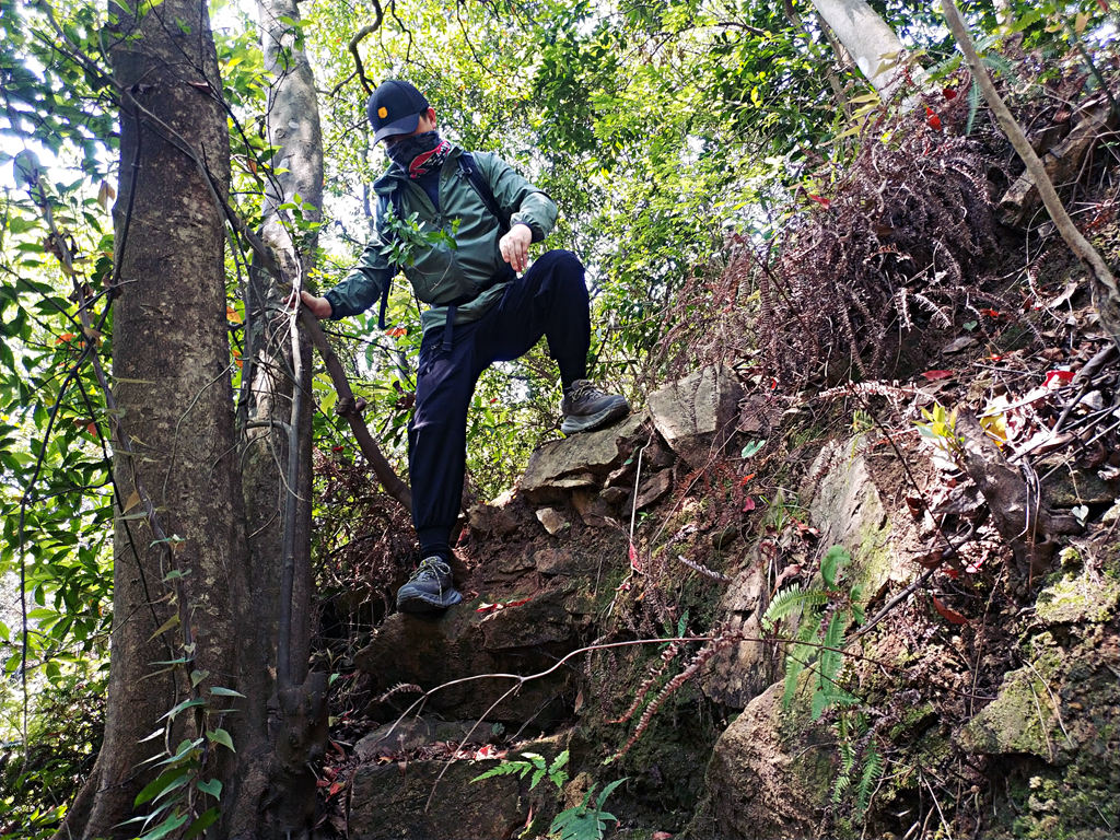 再次刷新了我的认知,再次刷新我对世界的认知
