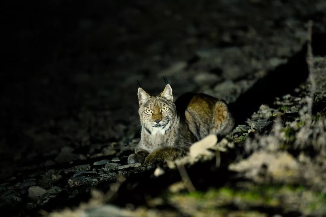 甘孜是个什么神奇的地方,甘孜的人间仙境