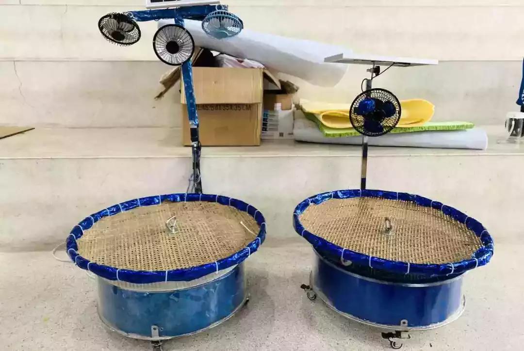 厦门38届青少年科技创新大赛获奖,广东青少年科技创新大赛获奖作品