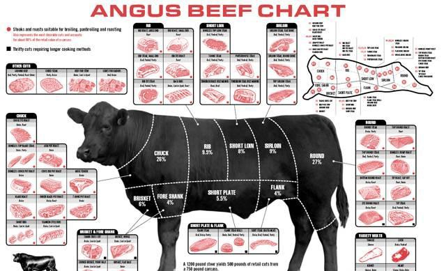 世界顶级牛肉是什么牛,世界最顶级的牛肉视频