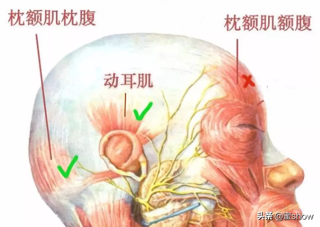 42岁冻龄女星光彩夺目,40岁冻龄女星