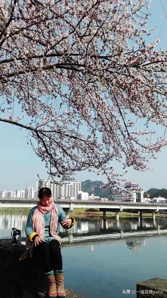 春风又绿江南岸风景,春风又绿江南岸风景图片