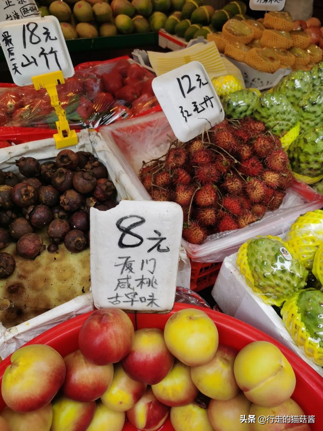 第一次去厦门必去攻略,去厦门的自由行攻略图文