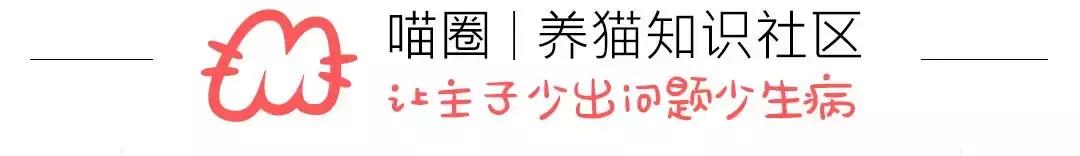 猫癣擦碘伏会好吗,猫癣怕什么