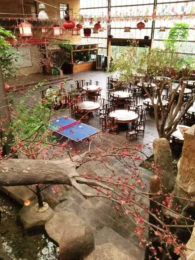 温州吹台山木屋农家乐预订号码,吹台山生态农庄