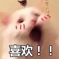 让李佳琦OMG的所有口红都在这里,究竟哪些值得买!