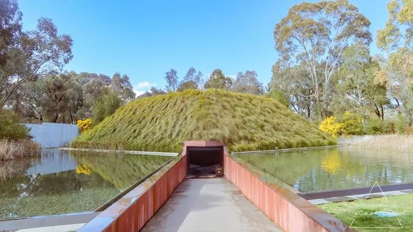 澳洲|春意堪培拉,看袋鼠、品酒、赏花、住进动物的家