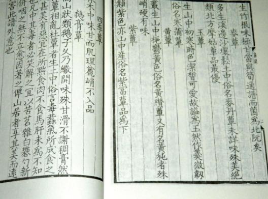 常见的蘑菇和菌菇,蘑菇种类的家常做法