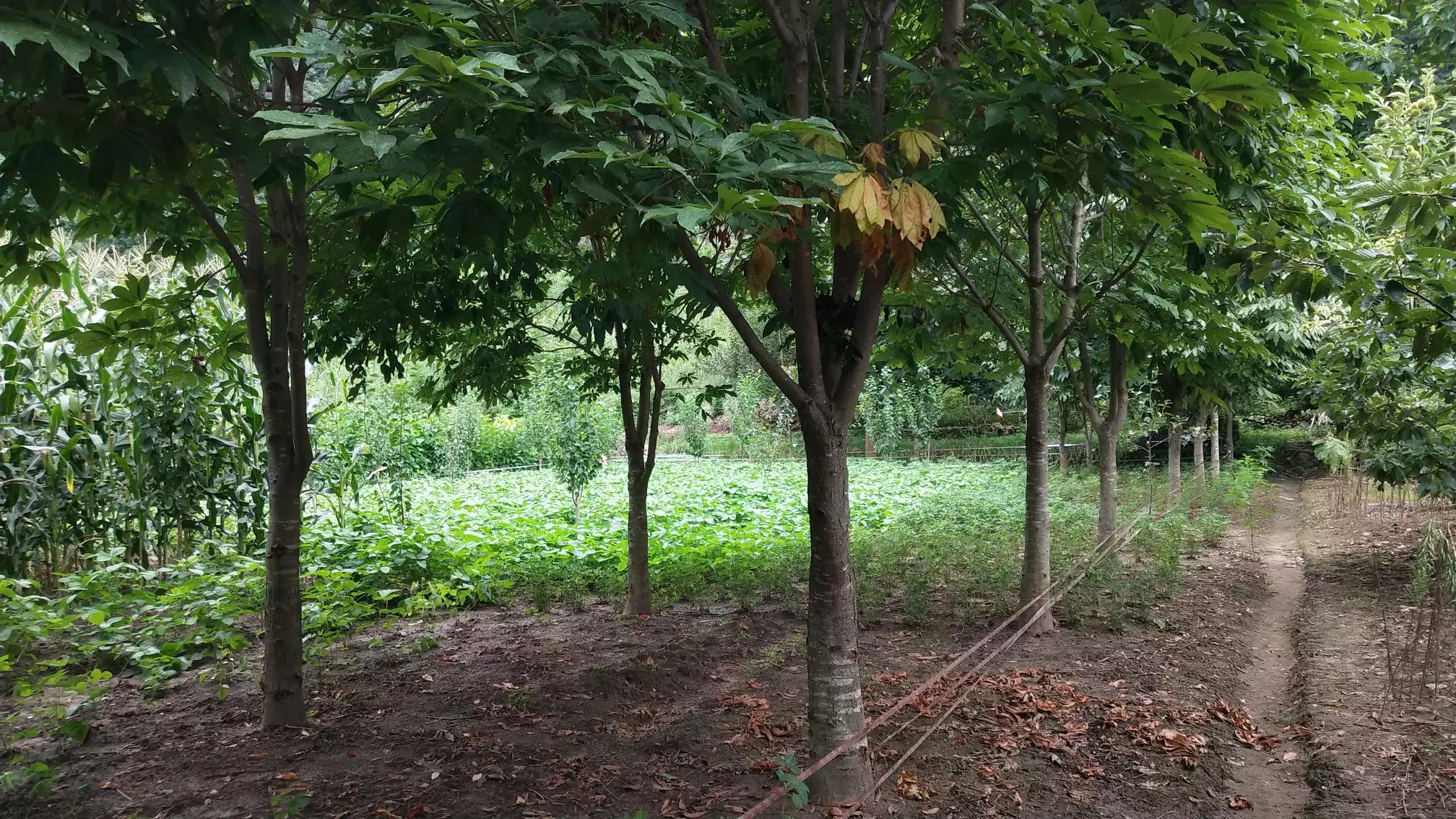 大山深处的温柔乡,大山深处的浪漫