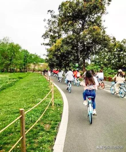 打卡青龙湖湿地公园,青龙湖湿地公园拍照技巧