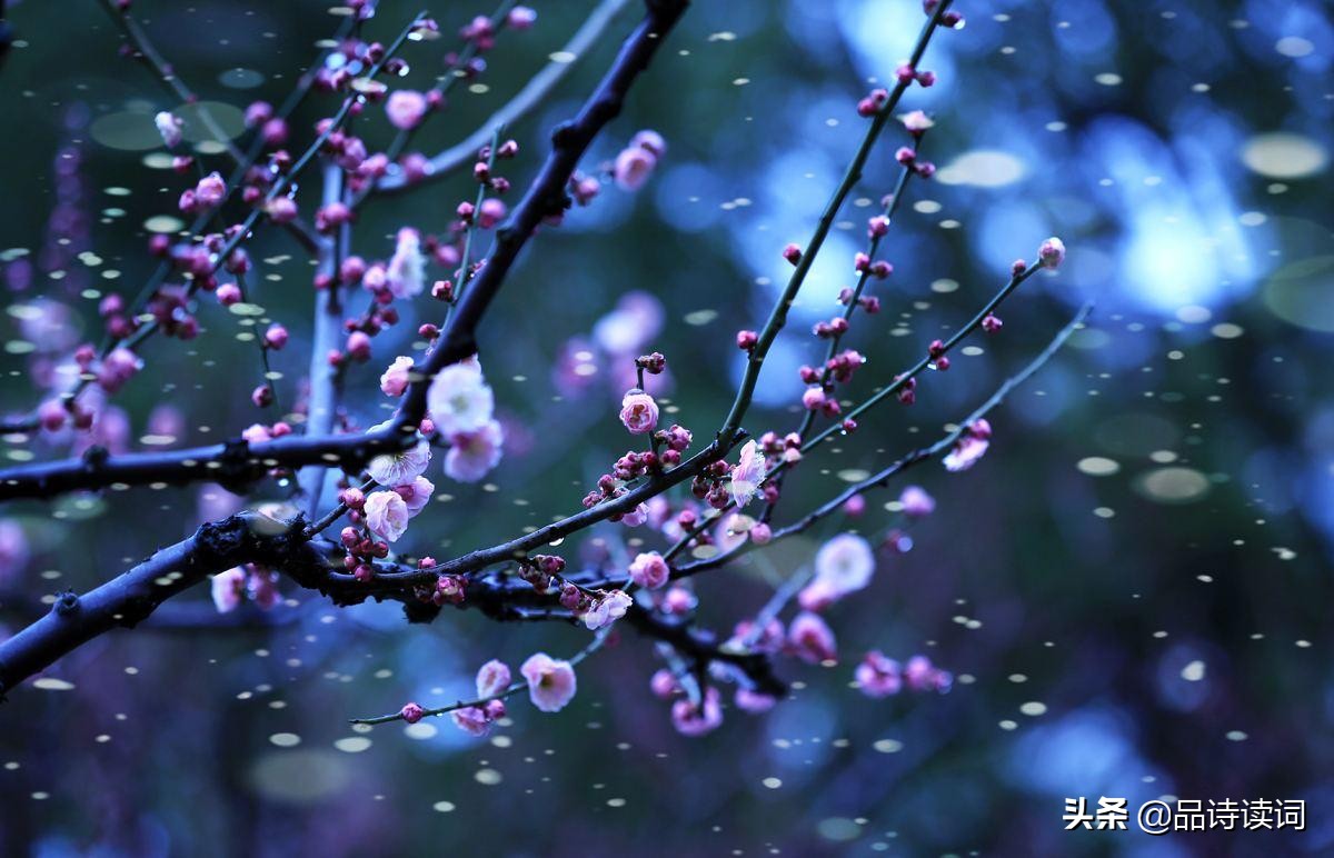 卢梅坡的七言诗有哪些,卢梅坡的诗有哪些