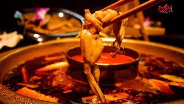 官方明确了!中华鳖、乌龟等不入禁食名录