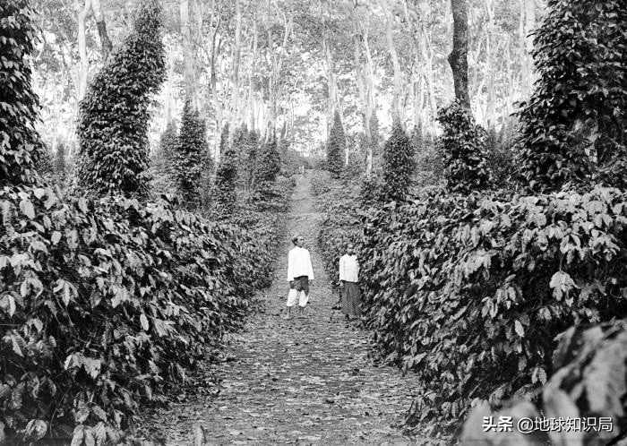 印尼现状相当于中国的什么阶段,印尼靠什么发电