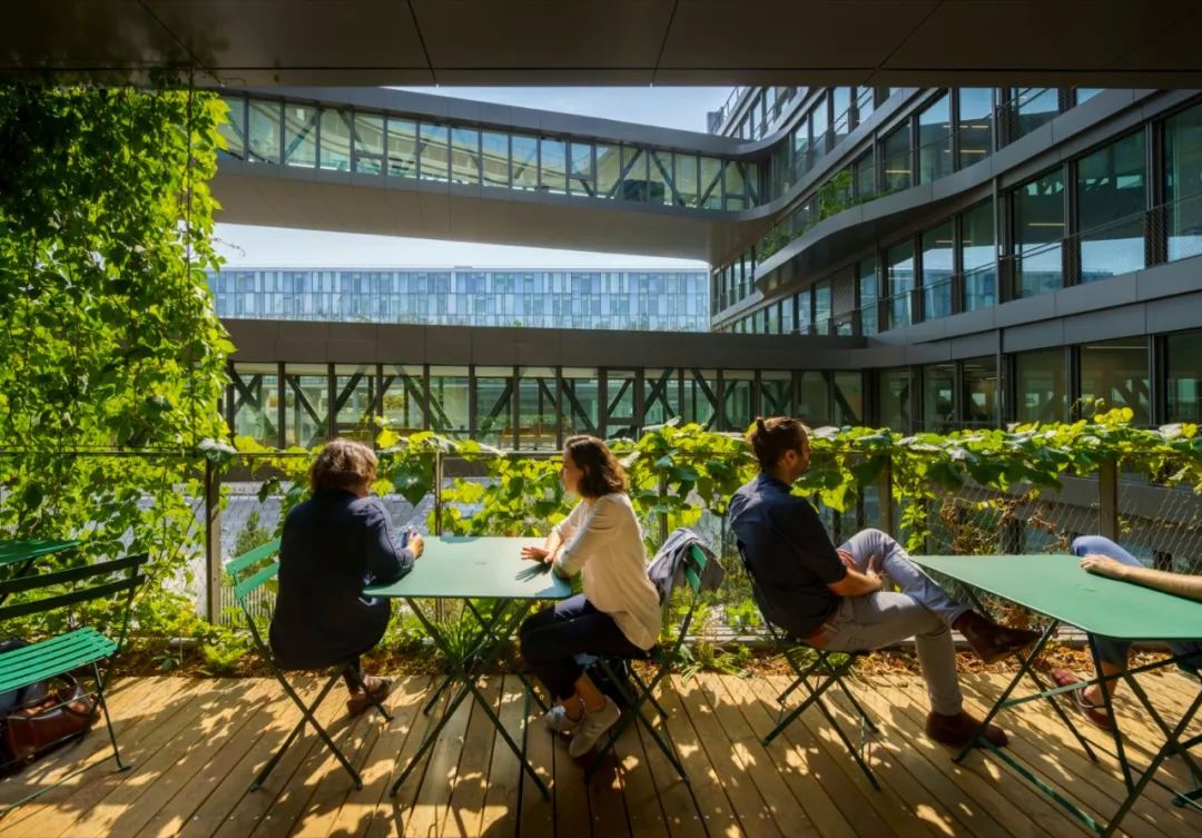 被绿植包围的大楼,被绿植围绕的空间