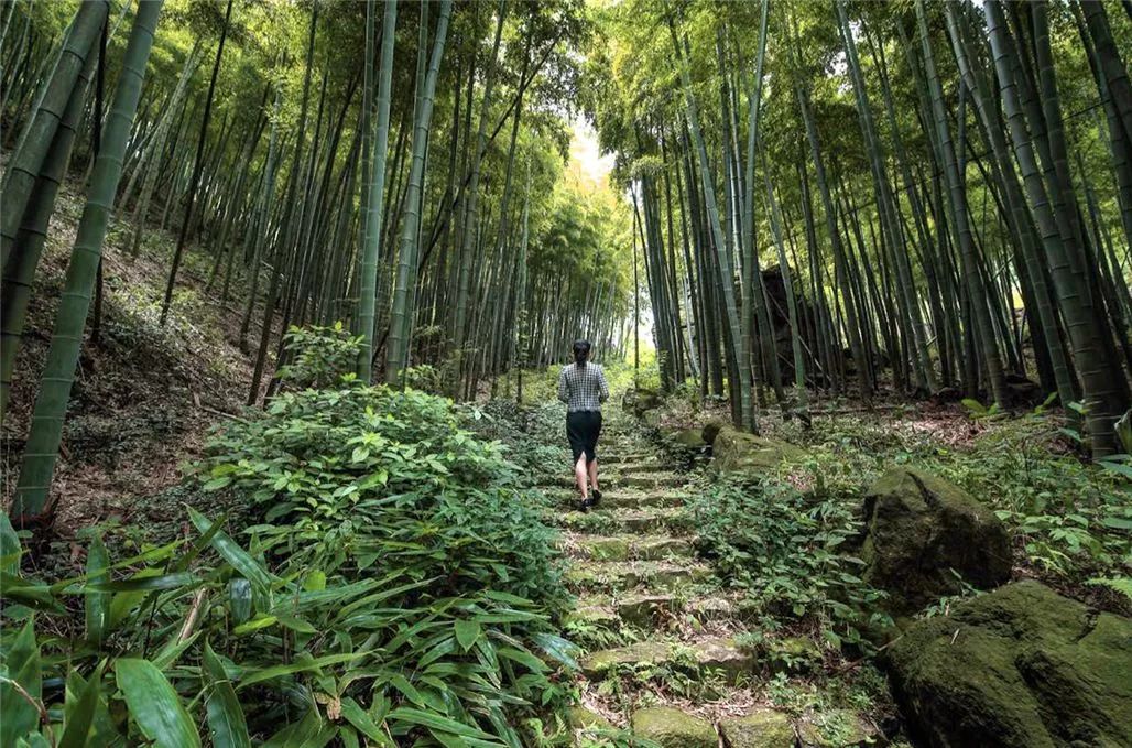 莫干山网红儿童旋转滑梯民宿,莫干山新晋森林亲子民宿无边泳池