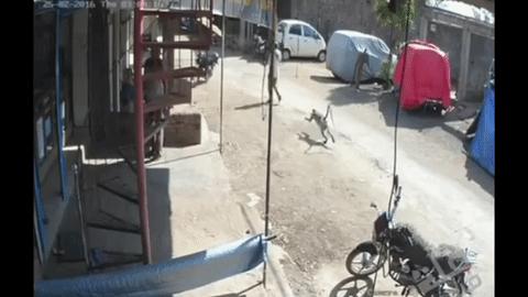 孙悟空的人生经历和感悟,孙悟空最有反叛精神的感悟