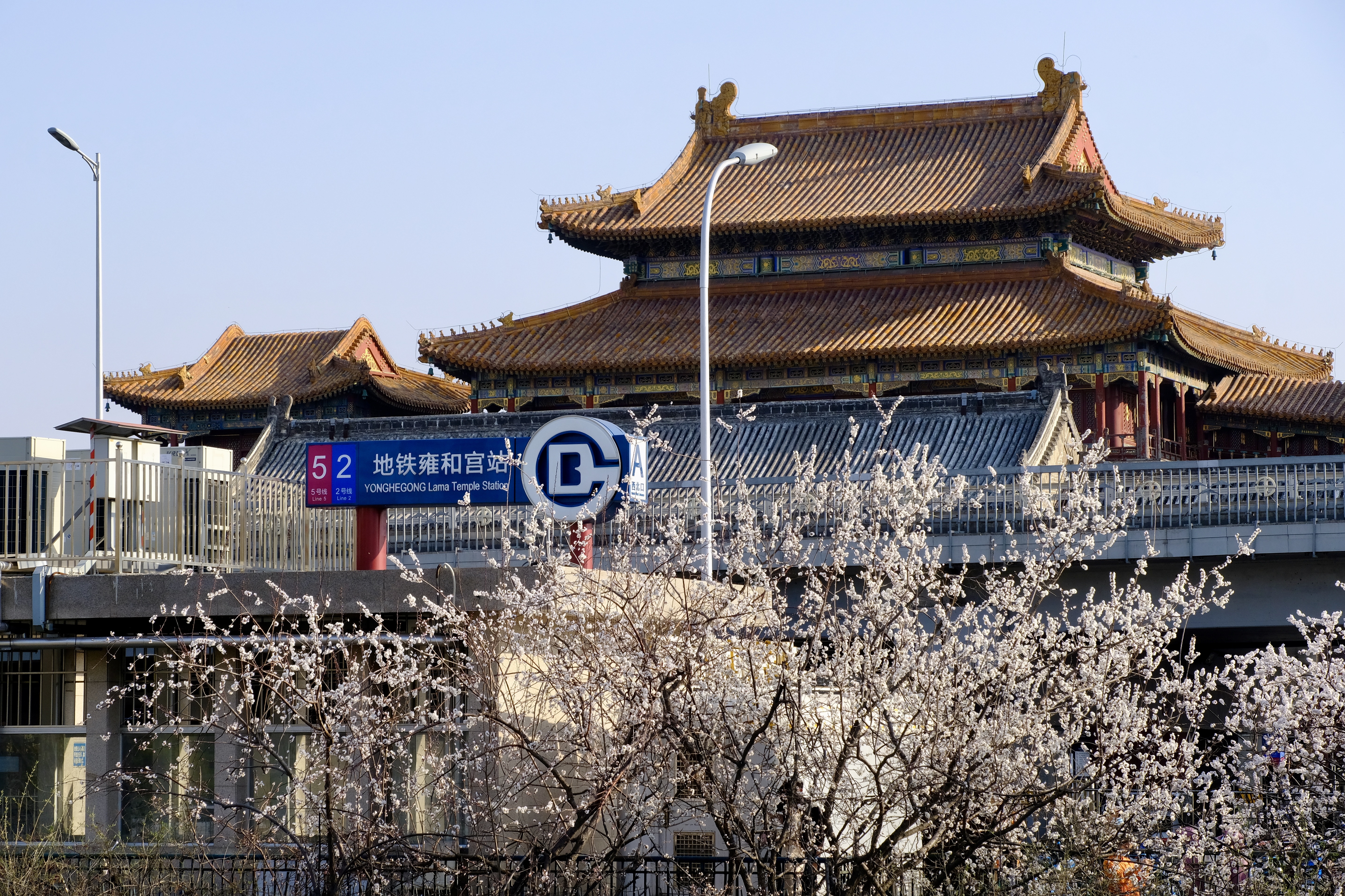 开往地铁上的春天,开往春天的地铁邂逅京城的花开