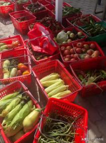 响沙湾景区教师节教师有优惠吗,教师节有什么免费又好玩的景点吗