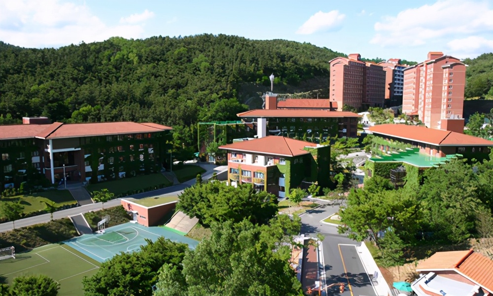 韩国留学一年的费用大概是多少,去韩国留学是怎么样的