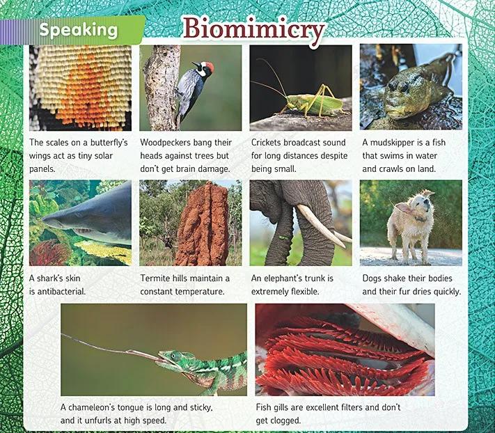 英语六级cefr,大学英语四级对应欧洲语言框架