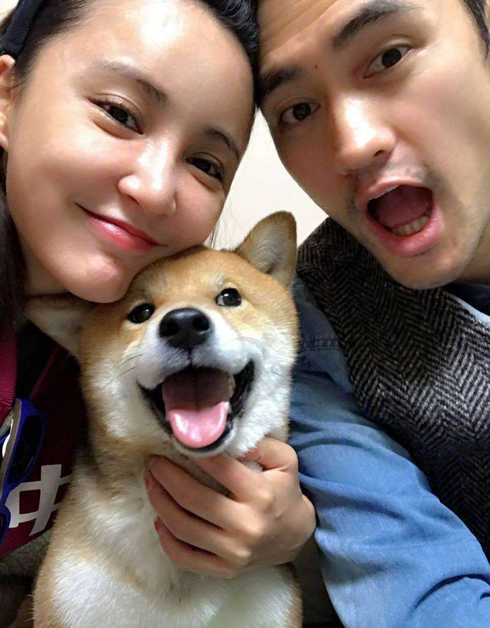 张歆艺分享孩子日常,张歆艺微博晒萌照秒变格格