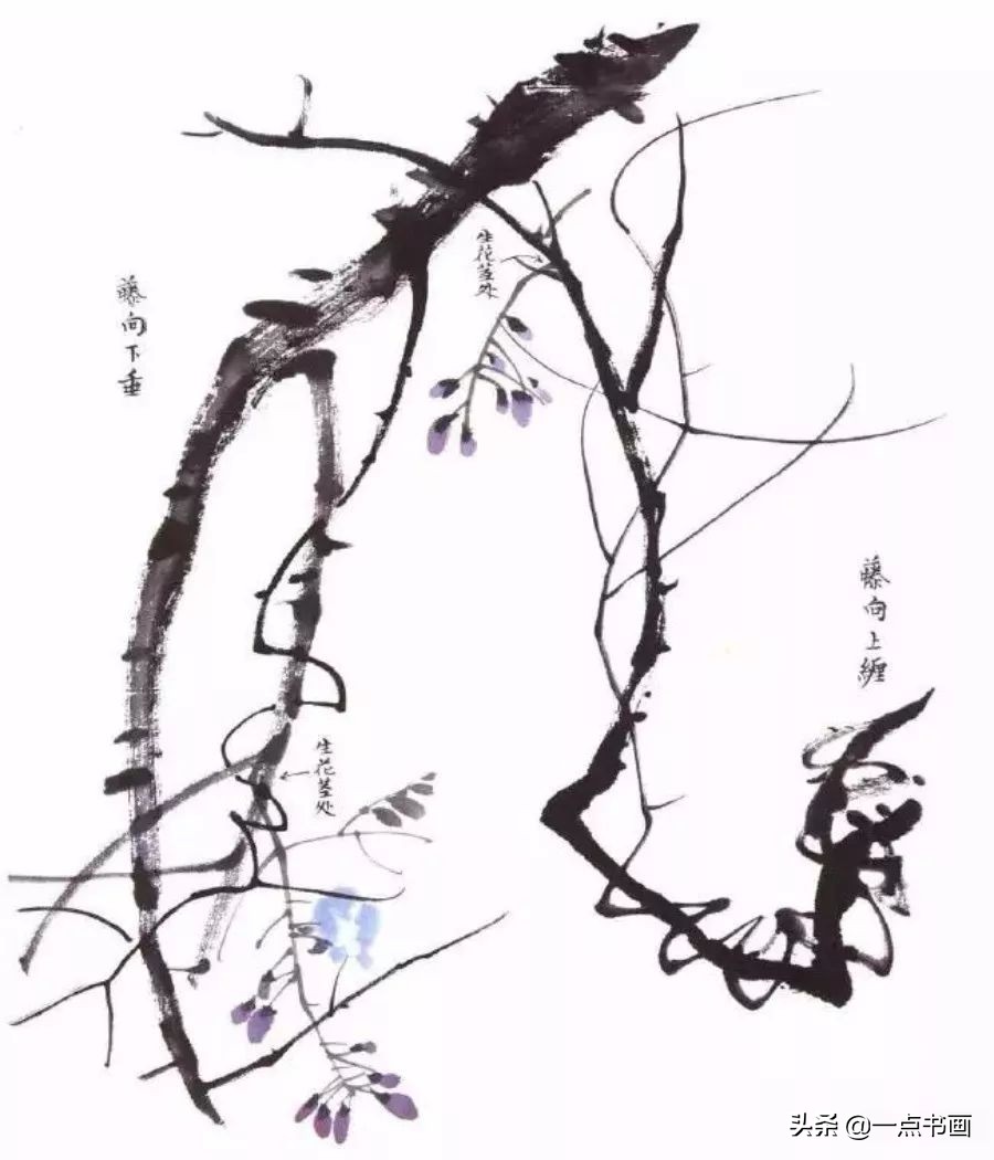 春天来了一起赏花图片,春天来了一起画个小燕子