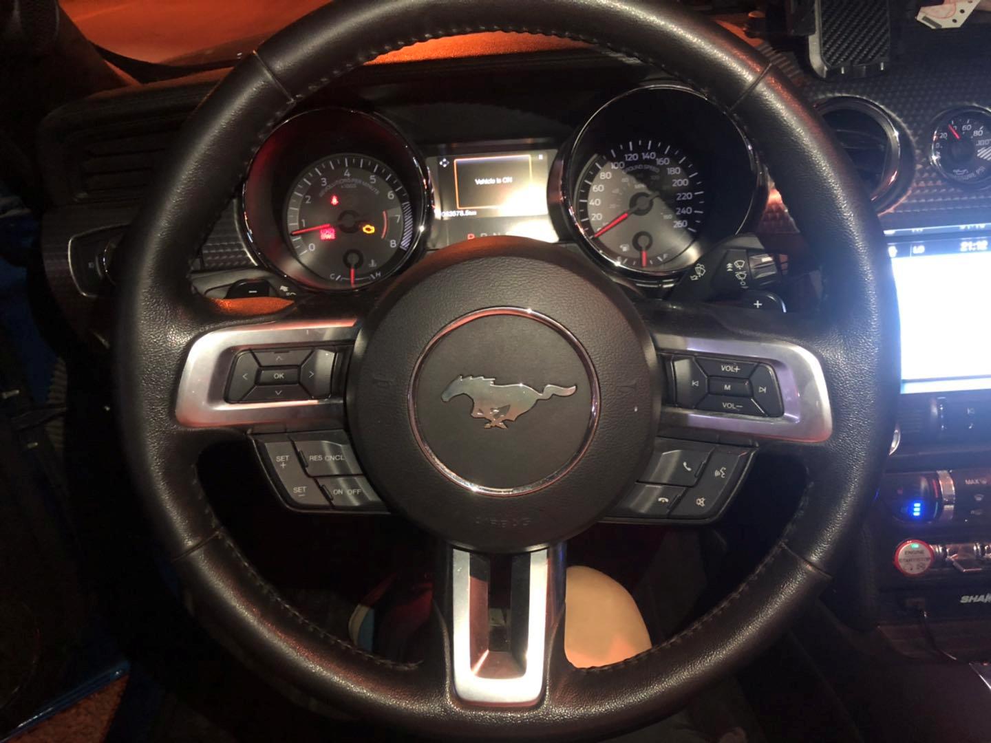 野马还是野驴,野马2.3t小野驴