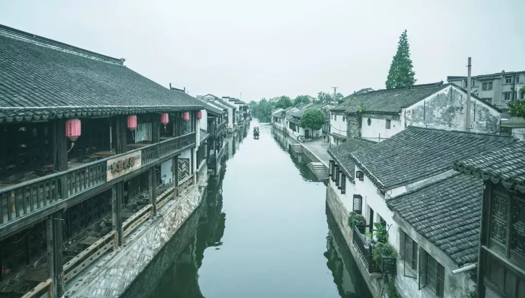 在最美的季节去了呼伦贝尔,一次浪漫的旅行呼伦贝尔