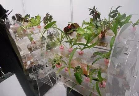 20个农民创业致富好项目推荐,农村致富好项目投资小见效快