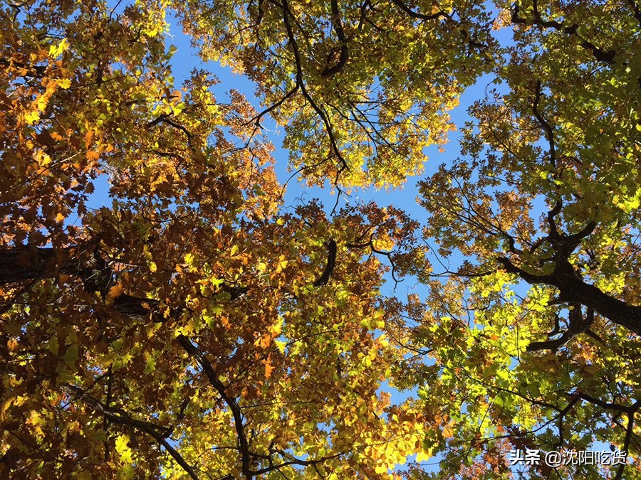 南昌五一周边野餐,五一放假别乱跑