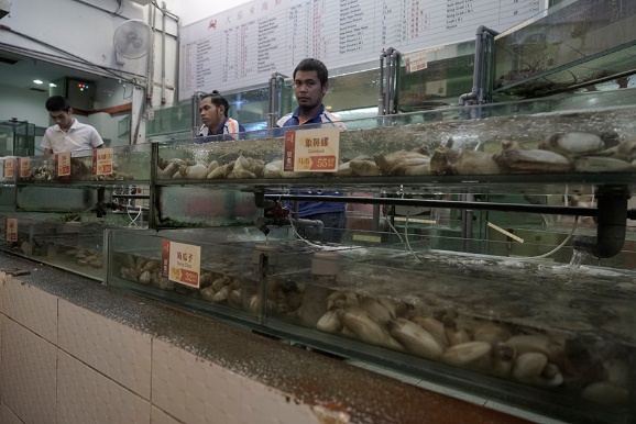 沙巴攻略详细介绍 (沙巴8天攻略)